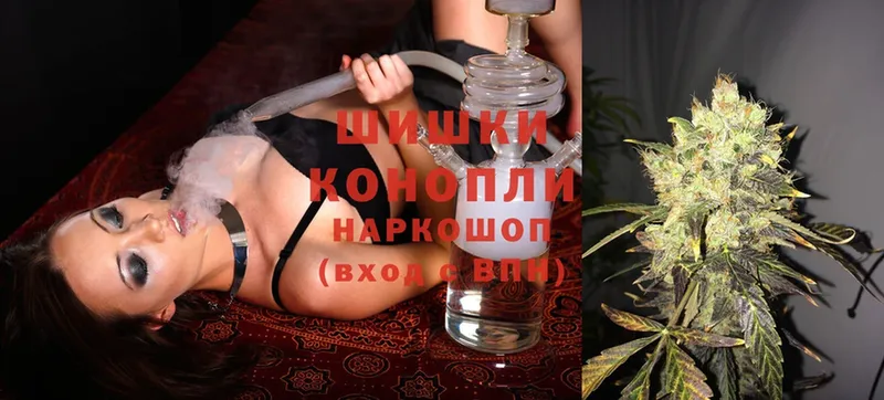 Конопля SATIVA & INDICA  купить наркотики цена  мориарти клад  Вологда 